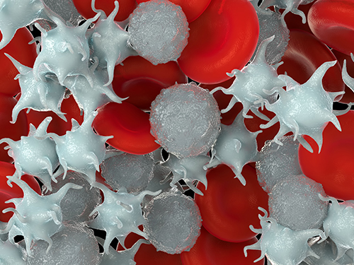 Microscopic illustration of activated platelets in the bloodstream